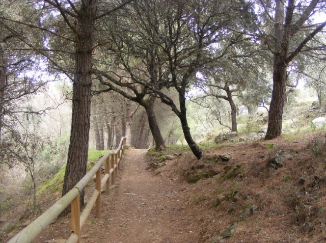 paraje natural cuesta arriba